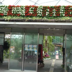 Tottori Flower Park - Tottori