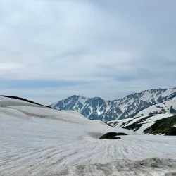 Tateyama Kurobe Alpine Route - Toyama