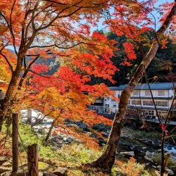 Korankei Gorge - Toyota