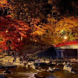 Korankei Gorge - Toyota