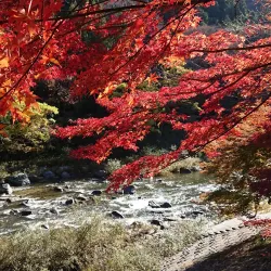 Korankei Gorge - Toyota