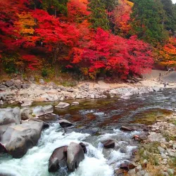 Korankei Gorge - Toyota