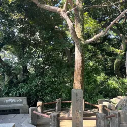 Shiroyama Park - Toyota