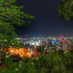 Shiroyama Park - Toyota