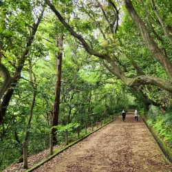Shiroyama Park - Toyota