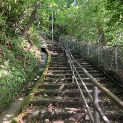 Shiroyama Park - Toyota