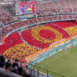 Toyota Stadium - Toyota