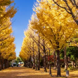 Katsuta Park - Tsukuba