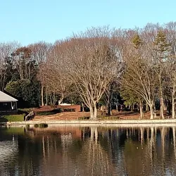 Katsuta Park - Tsukuba