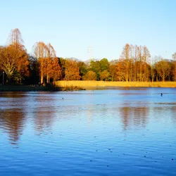 Katsuta Park - Tsukuba
