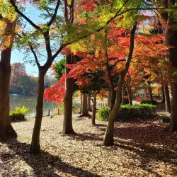Katsuta Park - Tsukuba