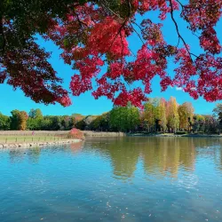 Katsuta Park - Tsukuba