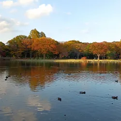 Katsuta Park - Tsukuba