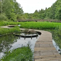Tsukuba Botanical Garden - Tsukuba