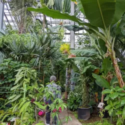 Tsukuba Botanical Garden - Tsukuba