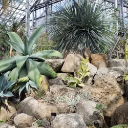 Tsukuba Botanical Garden - Tsukuba
