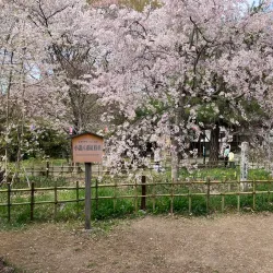 Kaikoen Park - Ueda
