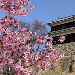 Ueda Castle - Ueda