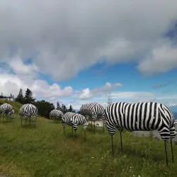 Utsukushigahara Open-Air Museum - Ueda