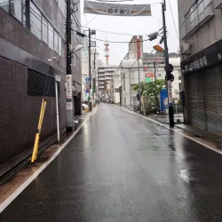 Utsunomiya Gyoza Street - Utsunomiya