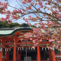 Awashima Shrine - Wakayama
