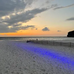 Nanki Shirahama Beach - Wakayama