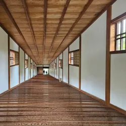 Wakayama Castle - Wakayama