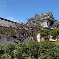 Wakayama Castle - Wakayama