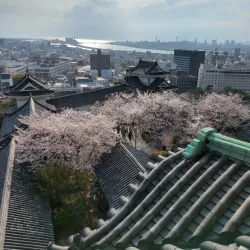 Wakayama Castle - Wakayama