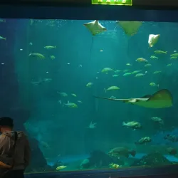 Wakayama Prefectural Museum of Natural History - Wakayama