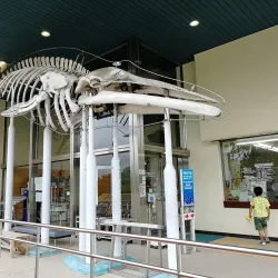Wakayama Prefectural Museum of Natural History - Wakayama