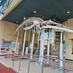 Wakayama Prefectural Museum of Natural History - Wakayama