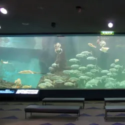 Wakayama Prefectural Museum of Natural History - Wakayama