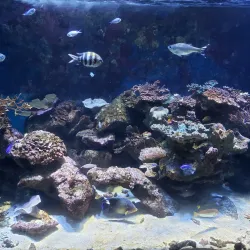 Wakayama Prefectural Museum of Natural History - Wakayama