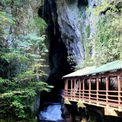 Akiyoshido Cave - Yamaguchi