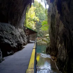 Akiyoshido Cave - Yamaguchi