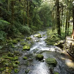 Akiyoshido Cave - Yamaguchi