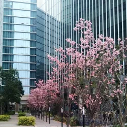 Minato Mirai 21 - Yokohama