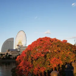 Minato Mirai 21 - Yokohama