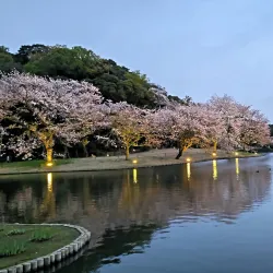 Sankeien Garden - Yokohama