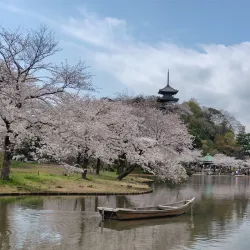 Sankeien Garden - Yokohama
