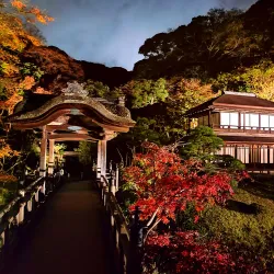 Sankeien Garden - Yokohama