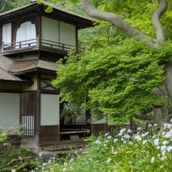 Sankeien Garden - Yokohama