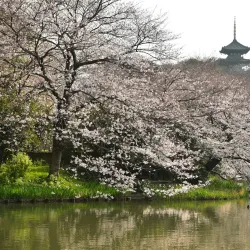 Sankeien Garden - Yokohama