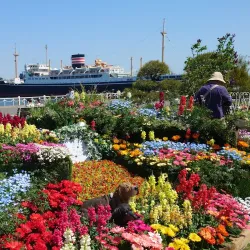 Yamashita Park - Yokohama