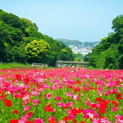 Kurihama Flower World - Yokosuka
