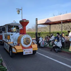 Kurihama Flower World - Yokosuka