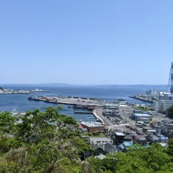 Kurihama Flower World - Yokosuka