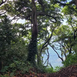 Sarushima Island - Yokosuka