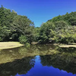 Kanagawa Prefectural Zama Park - Zama